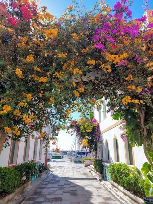 Vv Velero Apartment Puerto De Mogan Luaran gambar
